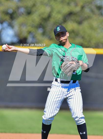Thumbnail 3 in Ellison @ Vandegrift (Pennybacker Classic) photogallery.