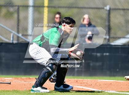 Thumbnail 1 in Ellison @ Vandegrift (Pennybacker Classic) photogallery.
