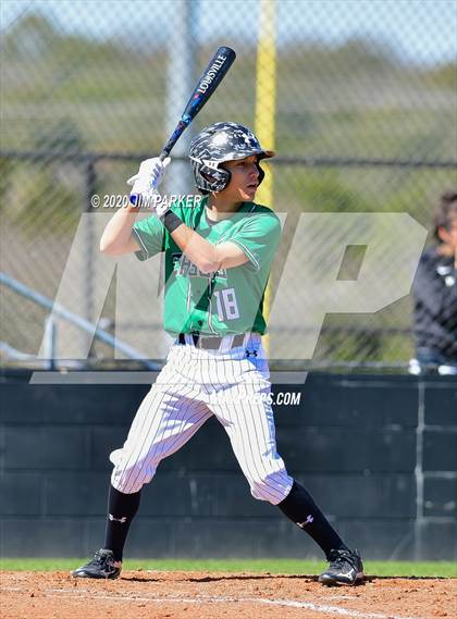 Thumbnail 2 in Ellison @ Vandegrift (Pennybacker Classic) photogallery.