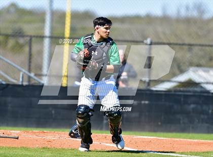 Thumbnail 1 in Ellison @ Vandegrift (Pennybacker Classic) photogallery.