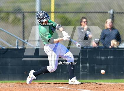 Thumbnail 1 in Ellison @ Vandegrift (Pennybacker Classic) photogallery.