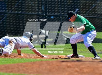 Thumbnail 1 in Ellison @ Vandegrift (Pennybacker Classic) photogallery.