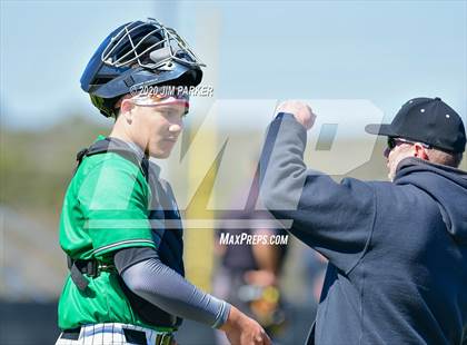 Thumbnail 3 in Ellison @ Vandegrift (Pennybacker Classic) photogallery.