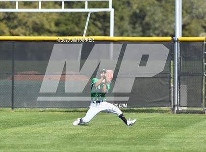 Thumbnail 1 in Ellison @ Vandegrift (Pennybacker Classic) photogallery.