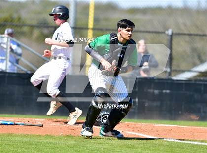 Thumbnail 3 in Ellison @ Vandegrift (Pennybacker Classic) photogallery.