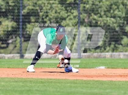 Thumbnail 2 in Ellison @ Vandegrift (Pennybacker Classic) photogallery.