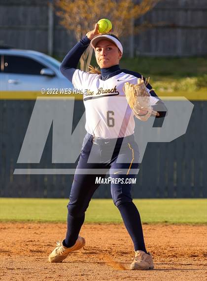 Thumbnail 1 in Olive Branch @ DeSoto Central photogallery.