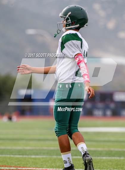 Thumbnail 1 in Murrieta Mesa @ Great Oak photogallery.