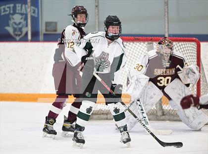 Thumbnail 3 in Sheehan @ Guilford (continuation) photogallery.