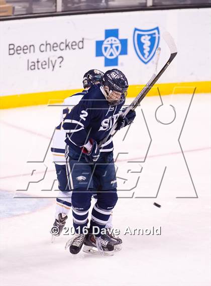 Thumbnail 1 in Malden Catholic vs St. John's Prep (MIAA Division 1A Final) photogallery.
