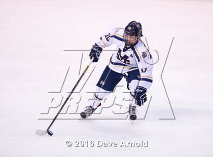 Thumbnail 1 in Malden Catholic vs St. John's Prep (MIAA Division 1A Final) photogallery.