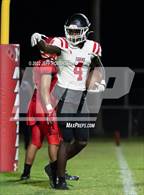 Photo from the gallery "Palmetto @ Manatee"