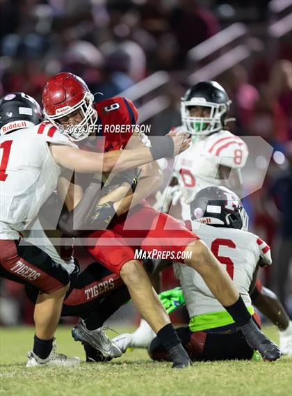 Thumbnail 3 in Palmetto @ Manatee photogallery.
