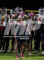 Photo from the gallery "Palmetto @ Manatee"