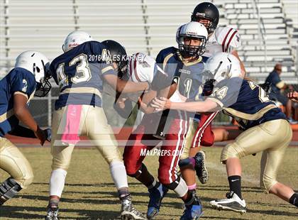 Thumbnail 3 in Spring Valley vs Desert Oasis photogallery.