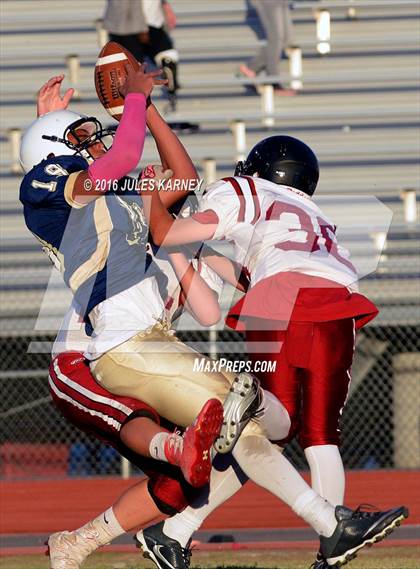 Thumbnail 3 in Spring Valley vs Desert Oasis photogallery.