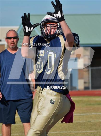 Thumbnail 3 in Spring Valley vs Desert Oasis photogallery.