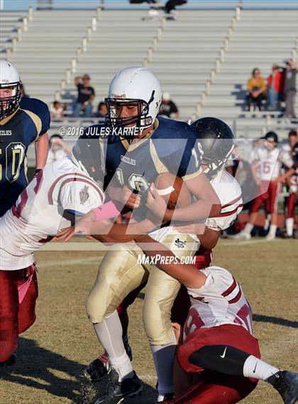 Thumbnail 2 in Spring Valley vs Desert Oasis photogallery.