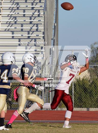 Thumbnail 2 in Spring Valley vs Desert Oasis photogallery.