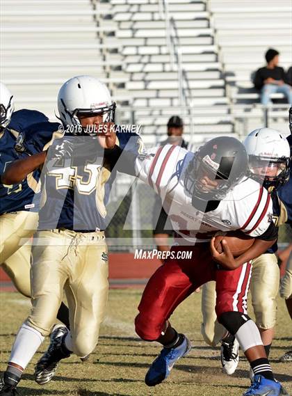 Thumbnail 1 in Spring Valley vs Desert Oasis photogallery.