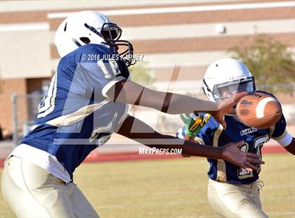 Thumbnail 3 in Spring Valley vs Desert Oasis photogallery.