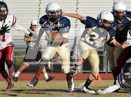 Thumbnail 3 in Spring Valley vs Desert Oasis photogallery.