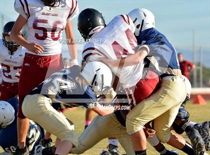 Thumbnail 2 in Spring Valley vs Desert Oasis photogallery.