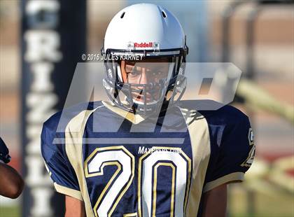 Thumbnail 3 in Spring Valley vs Desert Oasis photogallery.