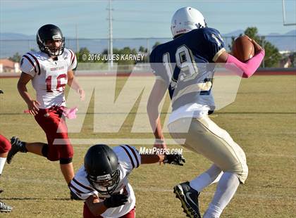 Thumbnail 3 in Spring Valley vs Desert Oasis photogallery.