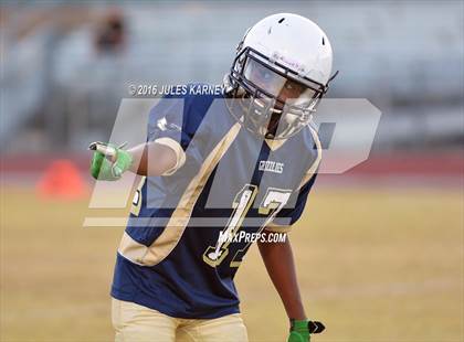 Thumbnail 2 in Spring Valley vs Desert Oasis photogallery.