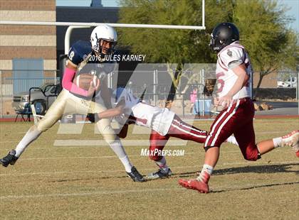 Thumbnail 3 in Spring Valley vs Desert Oasis photogallery.