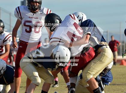 Thumbnail 3 in Spring Valley vs Desert Oasis photogallery.