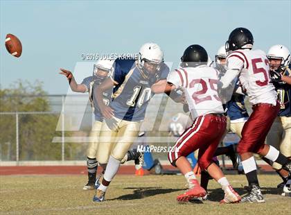 Thumbnail 3 in Spring Valley vs Desert Oasis photogallery.