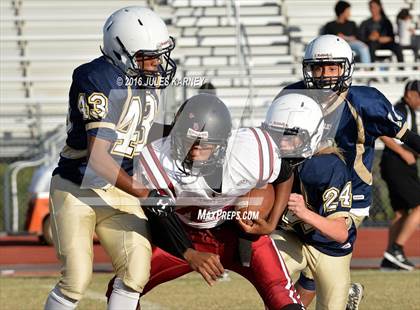 Thumbnail 2 in Spring Valley vs Desert Oasis photogallery.