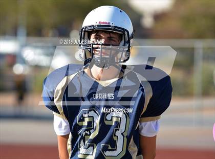 Thumbnail 1 in Spring Valley vs Desert Oasis photogallery.
