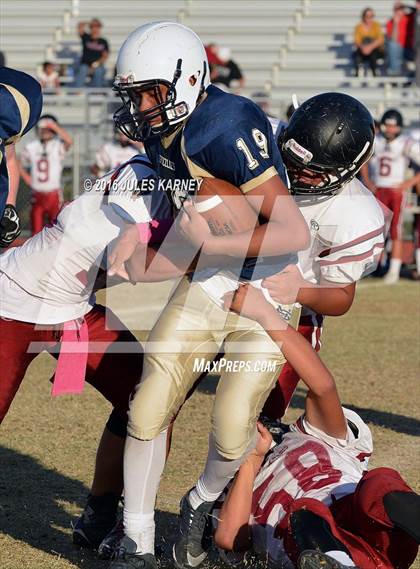 Thumbnail 3 in Spring Valley vs Desert Oasis photogallery.