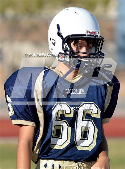 Thumbnail 1 in Spring Valley vs Desert Oasis photogallery.
