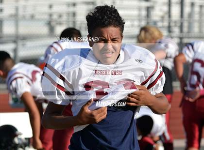 Thumbnail 3 in Spring Valley vs Desert Oasis photogallery.
