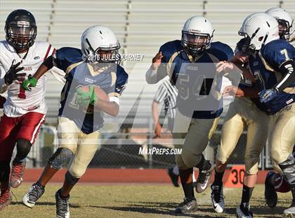 Thumbnail 3 in Spring Valley vs Desert Oasis photogallery.
