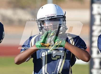 Thumbnail 1 in Spring Valley vs Desert Oasis photogallery.
