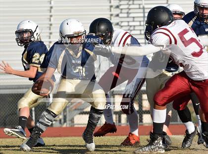 Thumbnail 3 in Spring Valley vs Desert Oasis photogallery.