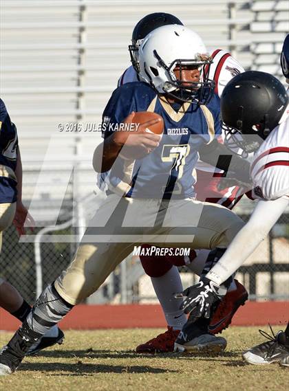 Thumbnail 1 in Spring Valley vs Desert Oasis photogallery.