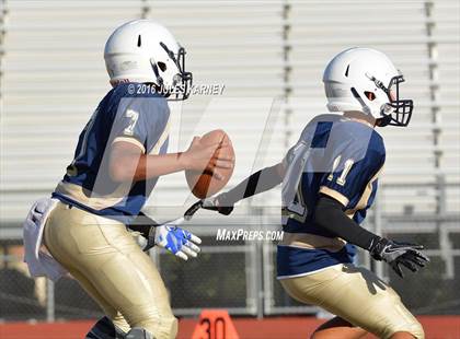 Thumbnail 1 in Spring Valley vs Desert Oasis photogallery.