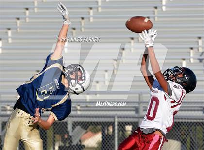 Thumbnail 1 in Spring Valley vs Desert Oasis photogallery.