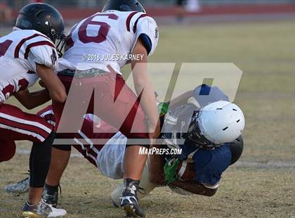 Thumbnail 3 in Spring Valley vs Desert Oasis photogallery.