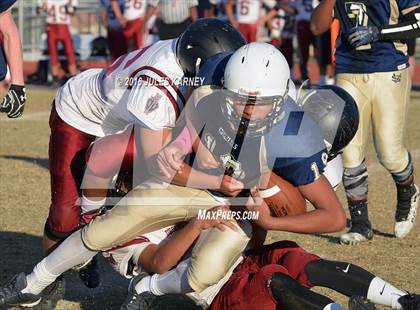 Thumbnail 2 in Spring Valley vs Desert Oasis photogallery.