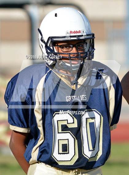 Thumbnail 3 in Spring Valley vs Desert Oasis photogallery.