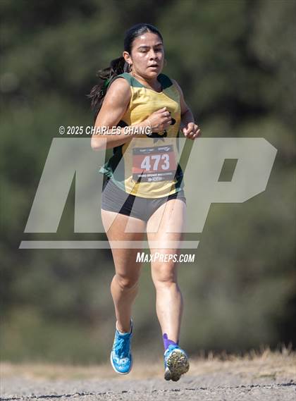 Thumbnail 1 in Viking Opener Invitational (Junior & Senior Girls) photogallery.