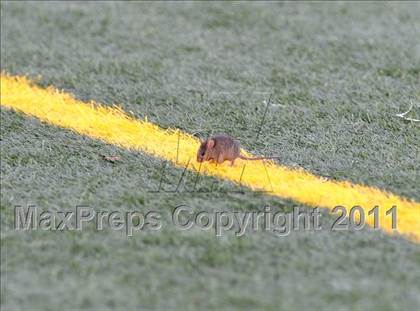 Thumbnail 1 in El Camino vs. Natomas (CIF SJS D3 Final) photogallery.