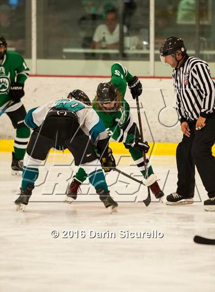 Thumbnail 2 in Highland vs. Basha Perry photogallery.